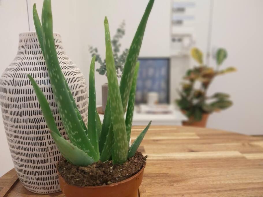 Appartement Place Des Terreaux 리옹 외부 사진